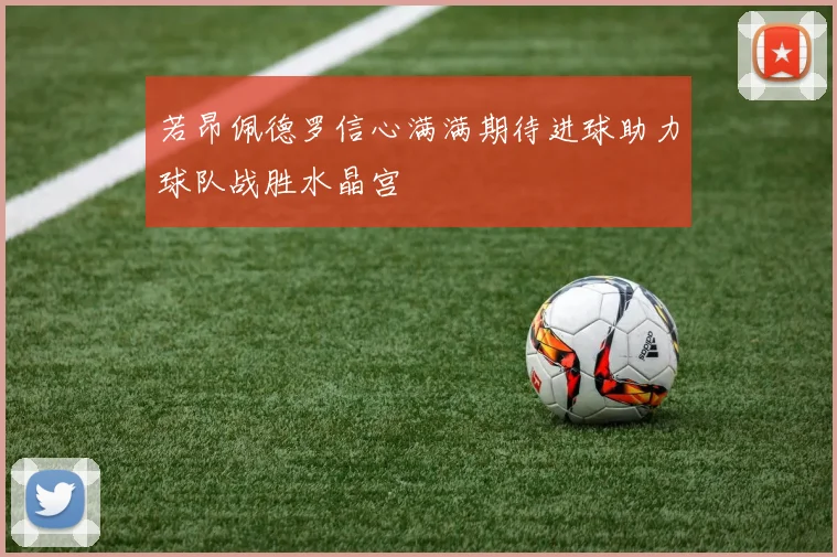 若昂佩德罗信心满满期待进球助力球队战胜水晶宫